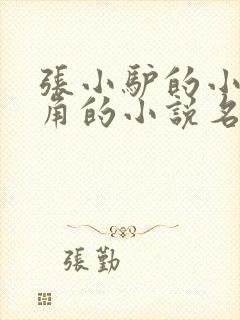 张小驴的小说主角的小说名字