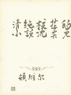 清纯校花的日常小说沈柔免费阅读