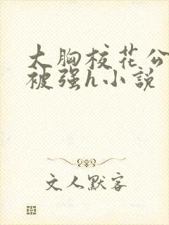 大胸校花公交车被强h小说