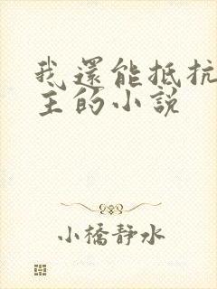 我还能抵抗双男主的小说