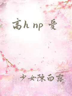 高h np 爱