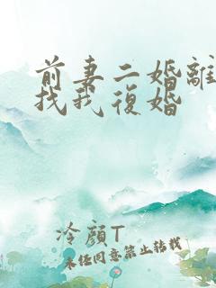 前妻二婚离了又找我复婚