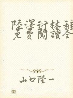 陆泽衍林稚小说免费阅读全文