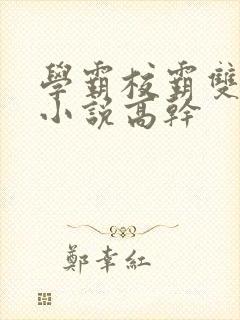 学霸校霸双男主小说高干