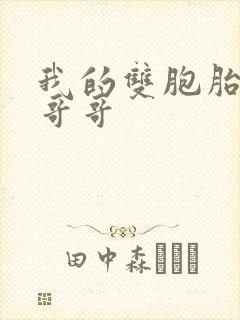 我的双胞胎骚货哥哥