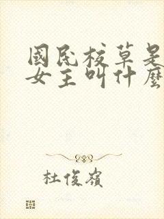 国民校草是女生女主叫什么
