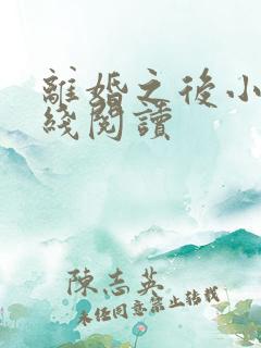 离婚之后小说在线阅读