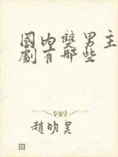 国内双男主电视剧有哪些