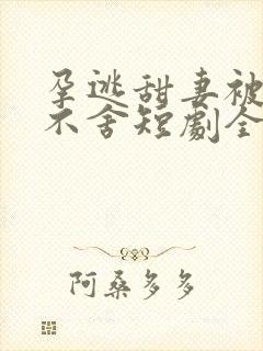 孕逃甜妻被穷追不舍短剧全集