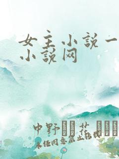 女主小说一女主小说网