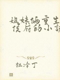 姐妹俩重生换嫁 侯府的小说