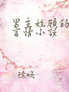 男主姓顾的现代言情小说