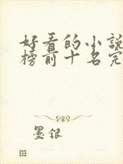 好看的小说排行榜前十名完结