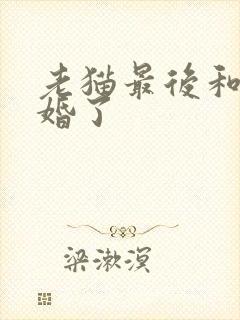 老猫最后和谁结婚了
