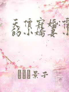 天价宠婚:霍总的小娇妻 小说