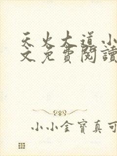 天火大道小说全文免费阅读无弹窗