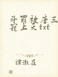 斗罗被唐三哥哥宠上天txt