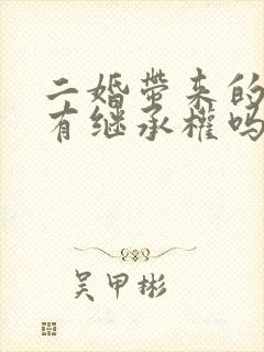 二婚带来的子女有继承权吗