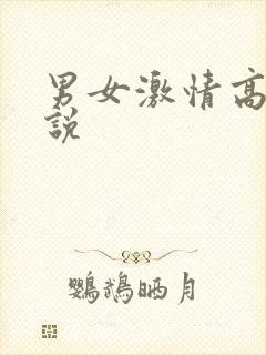 男女激情高潮小说