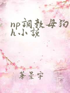 np调教母狗高h小说