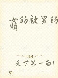 女的被男的操视频