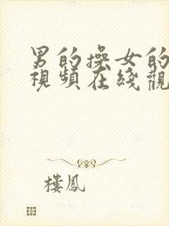 男的操女的下面视频在线观看