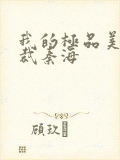 我的极品美女总裁秦海