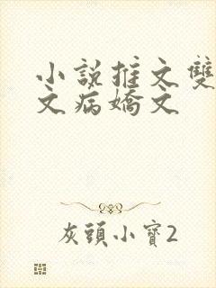 小说推文双男主文病娇文