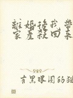 离婚后我带千亿家产杀回来了免费在线阅读