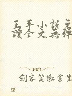 王平小说免费阅读全文无弹窗