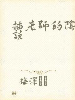 插老师的阴道小说