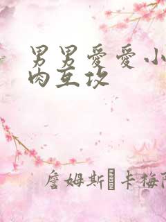 男男爱爱小说肉肉互攻