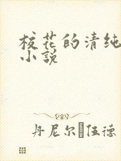 校花的清纯日常小说