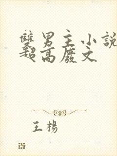 双男主小说车速超高废文