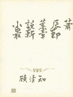 小说叶辰萧初然最新章节