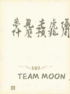 梦见老虎伤人是什么预兆周公解梦