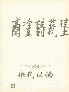 高冷校花从无绯闻直到我上大学的小说