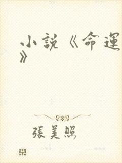 小说《命运相卜》