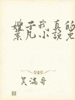 嫂子我真的不傻叶凡小说免费