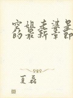 空姐老婆是破鞋的最新章节内容与评