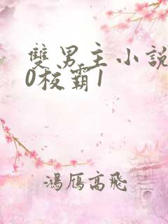 双男主小说学霸0校霸1