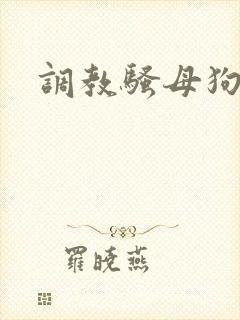 调教骚母狗校花