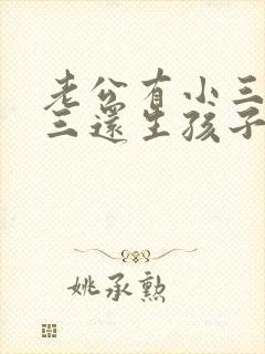 老公有小三,小三还生孩子该怎么办