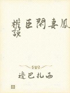 权臣闲妻凤轻小说