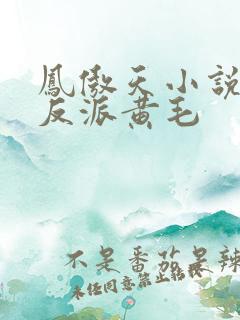 凤傲天小说里的反派黄毛