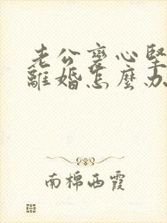 老公变心坚决要离婚怎么办