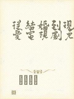 从结婚到现在恋爱电视剧免费观看