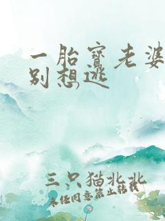 一胎宝老婆大人别想逃