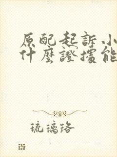 原配起诉小三有什么证据能够胜诉