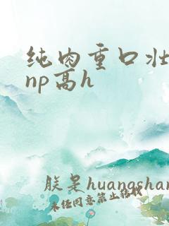 纯肉重口壮汉受np高h